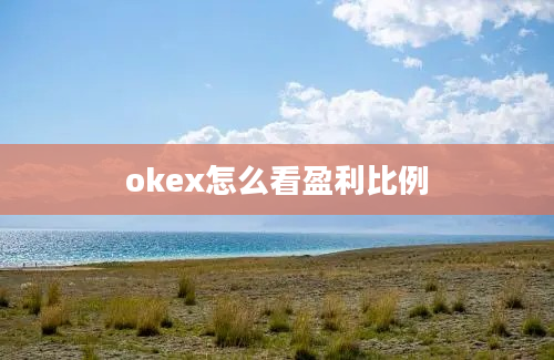 okex怎么看盈利比例