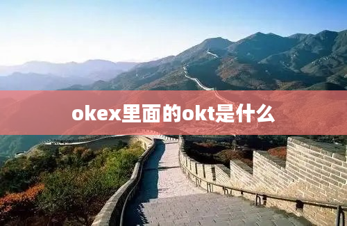 okex里面的okt是什么