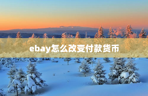 ebay怎么改变付款货币