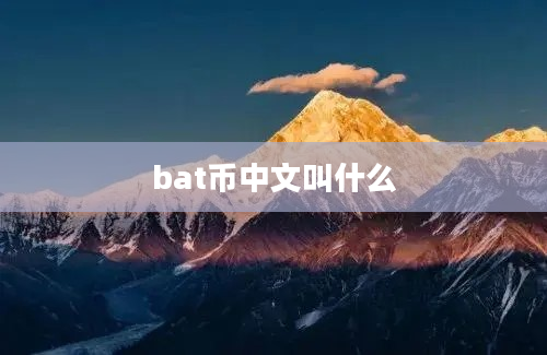 bat币中文叫什么