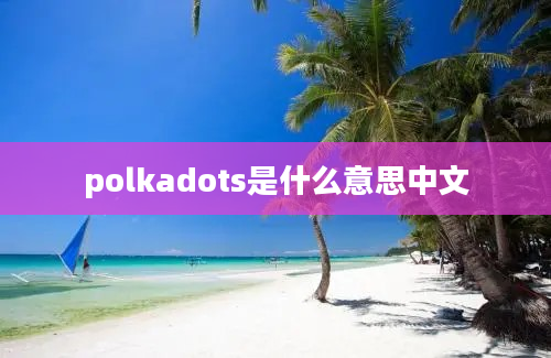 polkadots是什么意思中文
