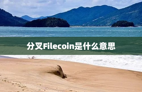 分叉Filecoin是什么意思