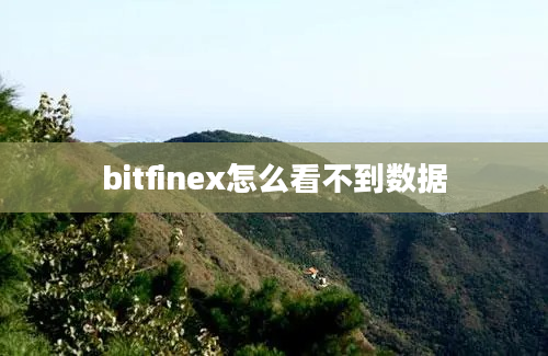 bitfinex怎么看不到数据