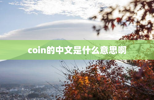 coin的中文是什么意思啊