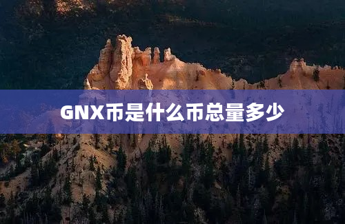 GNX币是什么币总量多少