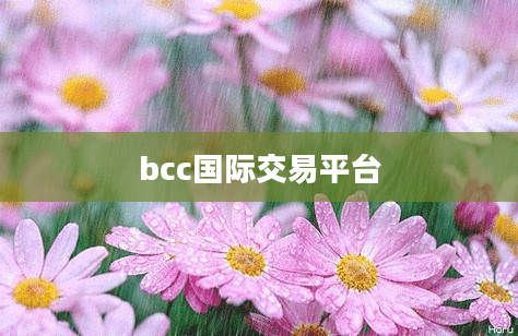 bcc国际交易平台
