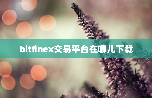 bitfinex交易平台在哪儿下载