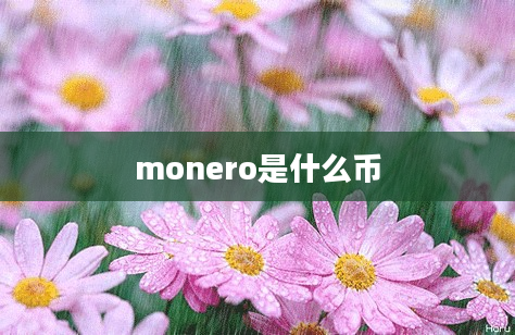 monero是什么币
