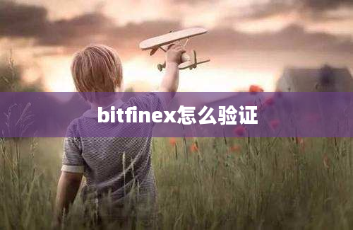 bitfinex怎么验证