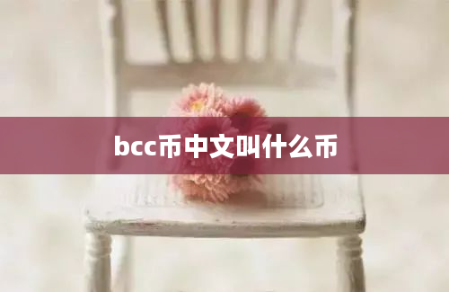 bcc币中文叫什么币
