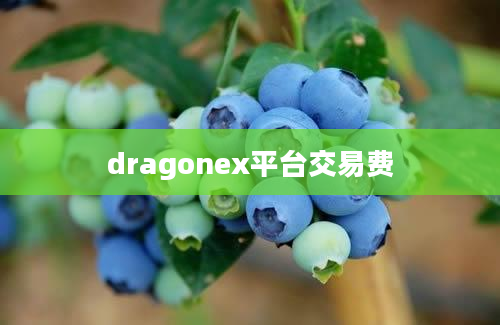 dragonex平台交易费