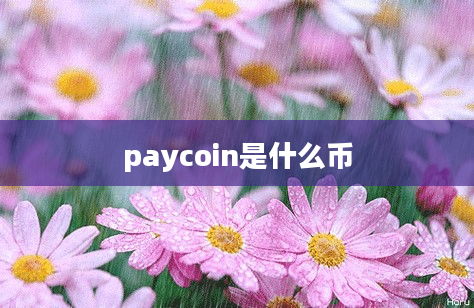 paycoin是什么币