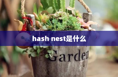 hash nest是什么