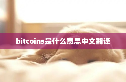 bitcoins是什么意思中文翻译