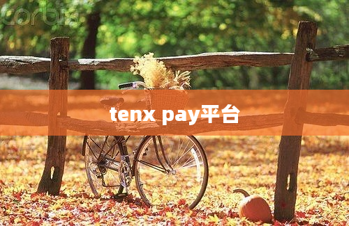 tenx pay平台