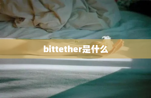 bittether是什么