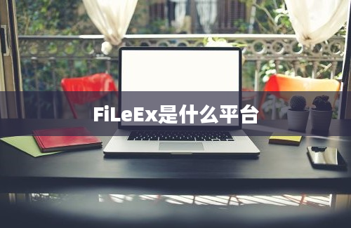 FiLeEx是什么平台