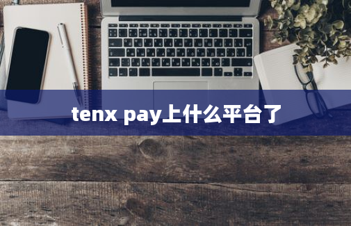 tenx pay上什么平台了