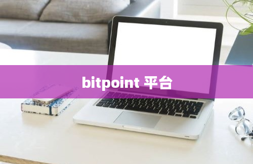 bitpoint 平台